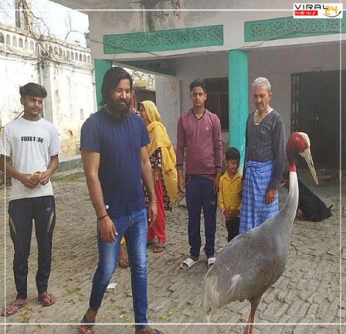 सारस पक्षी बर्दाश्त न कर सका आरिफ से दूर होने का दर्द और उड़ा विहार से 