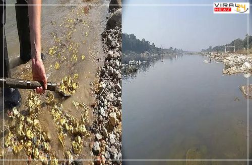 भारत की एक ऐसी नदी जिसके अंदर से निकलता है खरा सोना, बैग भरकर लोग ले जाते हैं सोना....-image-64d31cd301ed6