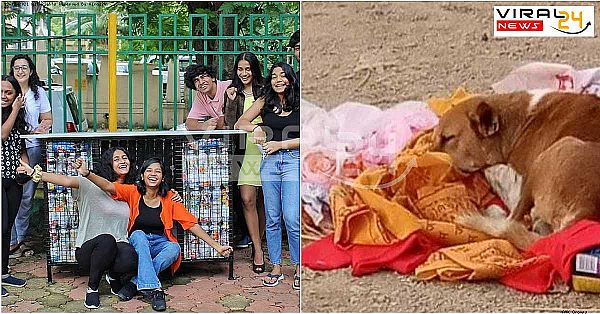 मुंबई के इन छात्रों ने मिलकर प्लास्टिक के कचरे से बनाया बेसहारा और बेघर जानवरों के लिए घर, दिल से सैल्यूट..