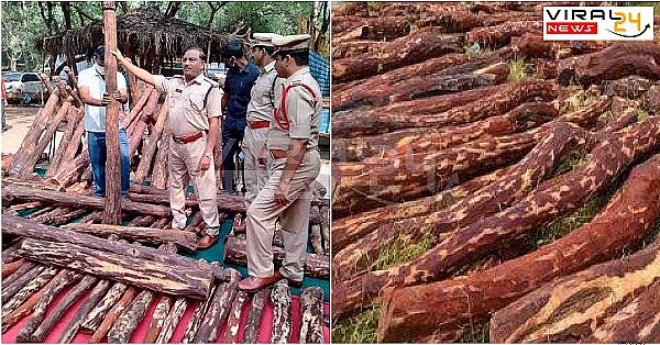 रियल है पुष्पा फिल्म की कहानी, बिकता है लाल चंदन, 508 करोड़ की लकड़ियां पुलिस की जब्त में।