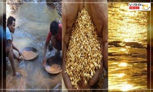 भारत की एक ऐसी नदी जिसके अंदर से निकलता है खरा सोना, बैग भरकर लोग ले जाते हैं सोना....