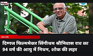 दिग्गज फिल्ममेकर सिंगीथम श्रीनिवास राव का 94 वर्ष की आयु में निधन, शोक की लहर